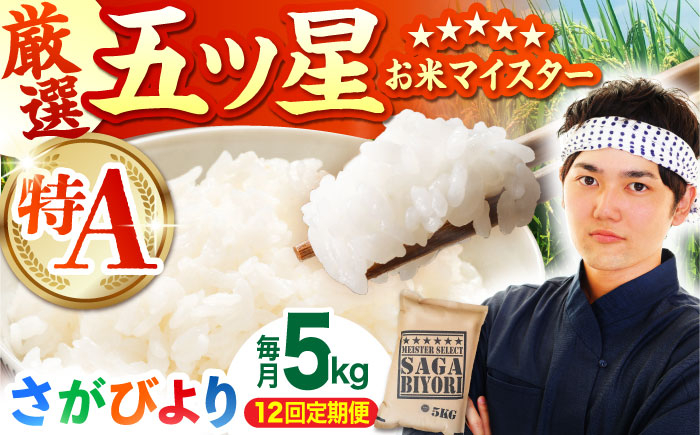 【全12回定期便】さがびより 白米 5kg【五つ星お米マイスター厳選】 [HBL021]