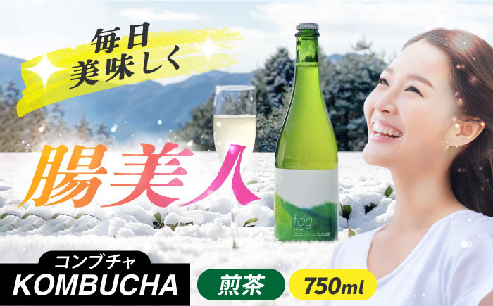 煎茶コンブチャ　fog-sencha オリジナルコンブチャ お茶 発酵飲料 腸活 白川町