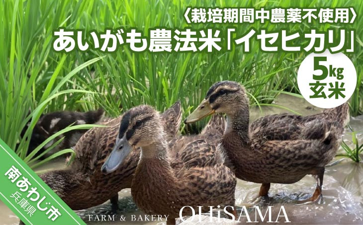 イセヒカリ　５kg　玄米　栽培期間中農薬不使用　あいがも農法米