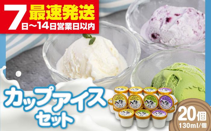 カップアイスセット(130ml×20個) アイス アイスクリーム ジェラ―ト ミルク 抹茶 ブルーベリー セット