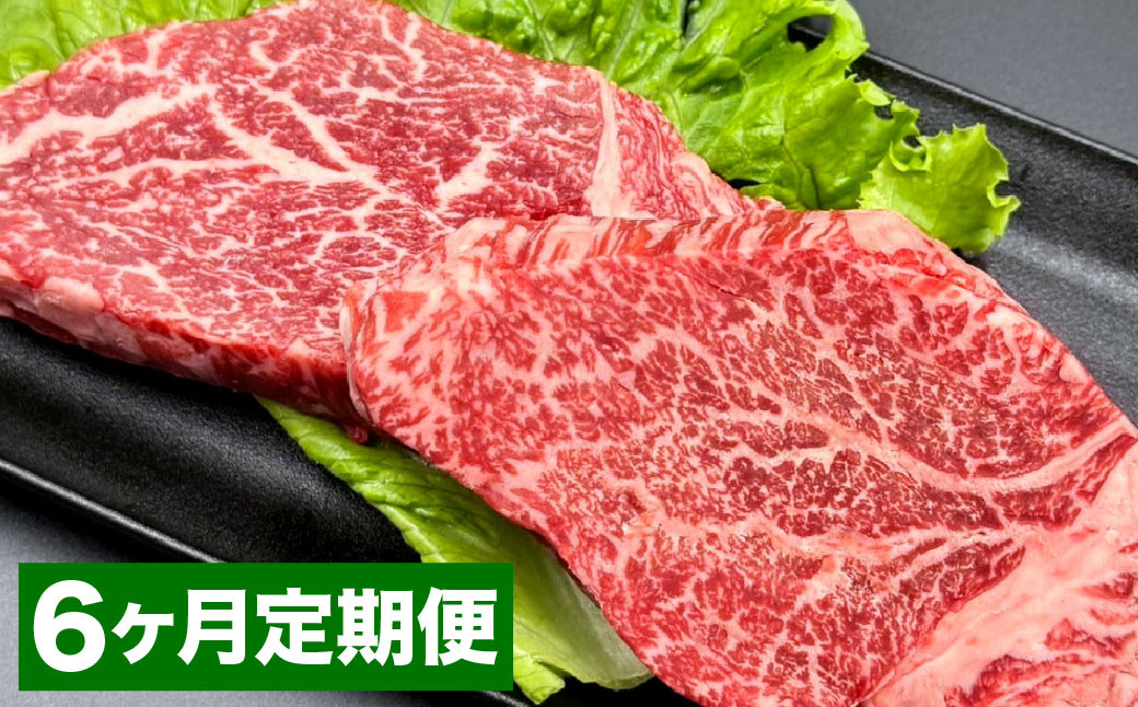 【6カ月定期便】おおいた和牛ヒレステーキ
