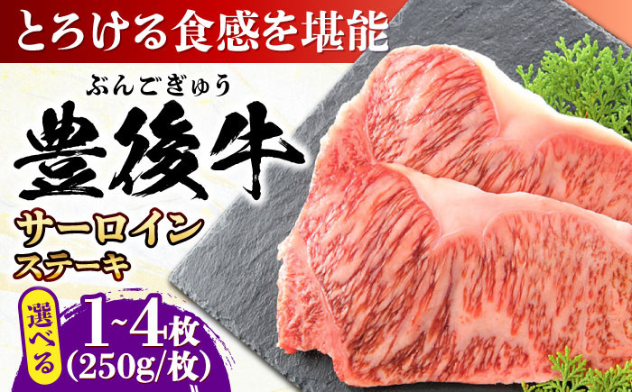 牛肉 おおいた豊後牛 おおいた 豊後牛 黒毛和牛 サーロイン サーロインステーキ ステーキ 国産