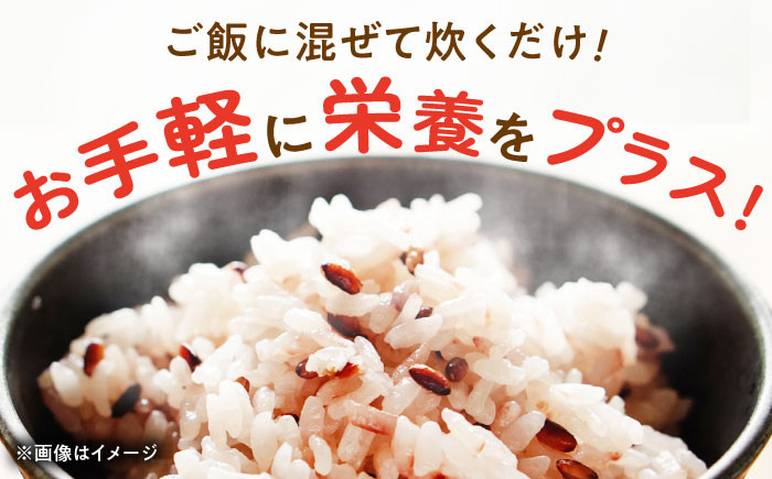 【6回定期便】自然農法で育てた 古代米 黒米 1.2kg（300g×4袋）雑穀 雑穀米 米 お米