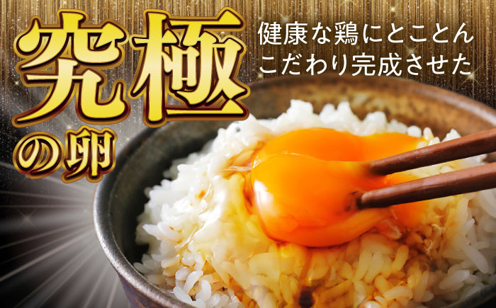産地直送 新鮮 たまご 岐阜県産 生卵 卵かけご飯 ゆで卵 玉子焼き 目玉焼き