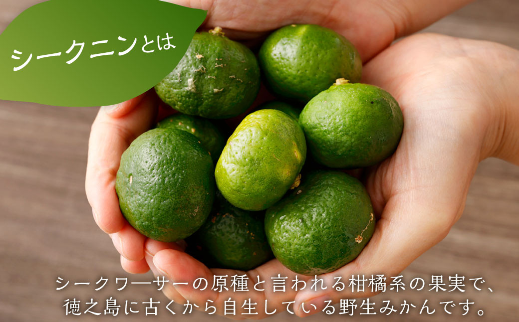 徳之島 天城町 徳之島産 生シークニン 3kg