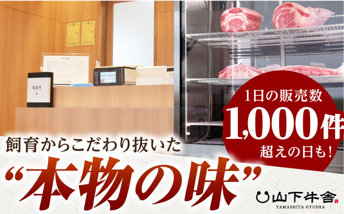 【全3回定期便】佐賀牛 赤身 スライス 500g ( しゃぶしゃぶ用 ) 【山下牛舎】 [HAD090] 黒毛和牛 牛肉 肉