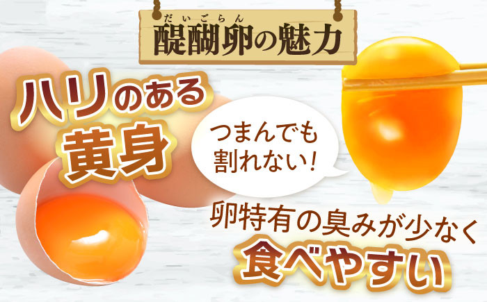 産地直送 新鮮 たまご 岐阜県産 生卵 卵かけご飯 ゆで卵 玉子焼き 目玉焼