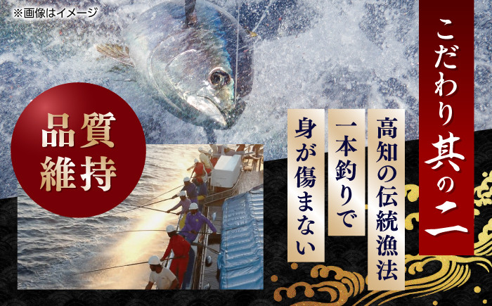 一本釣り龍馬鰹たたき　約1.2kg ポン酢付き /高知 本格 藁焼き カツオ 鰹 かつおたたき 瞬間冷凍 厳選 【株式会社　七和