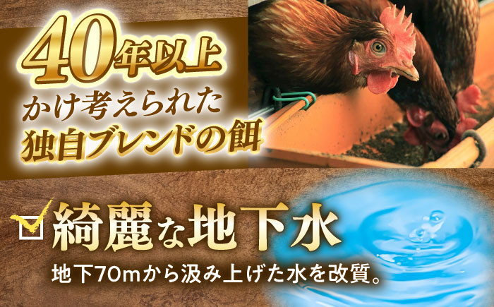 産地直送 新鮮 たまご 岐阜県産 生卵 卵かけご飯 ゆで卵 玉子焼き 目玉焼き