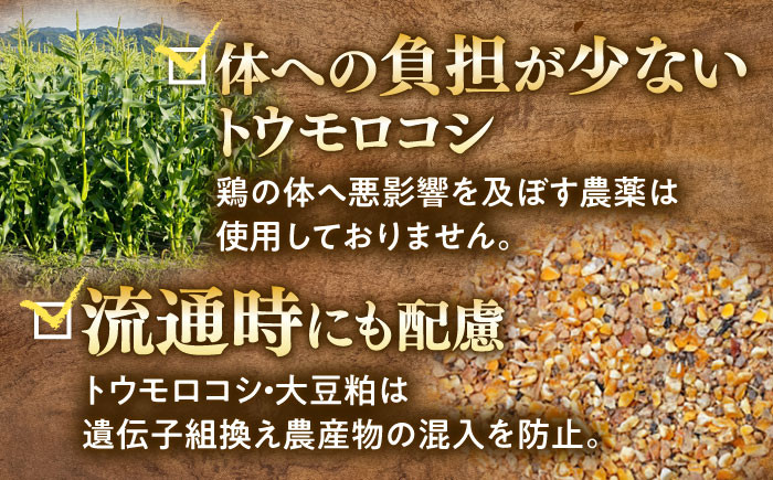 産地直送 新鮮 たまご 岐阜県産 生卵 卵かけご飯 ゆで卵 玉子焼き 目玉焼き