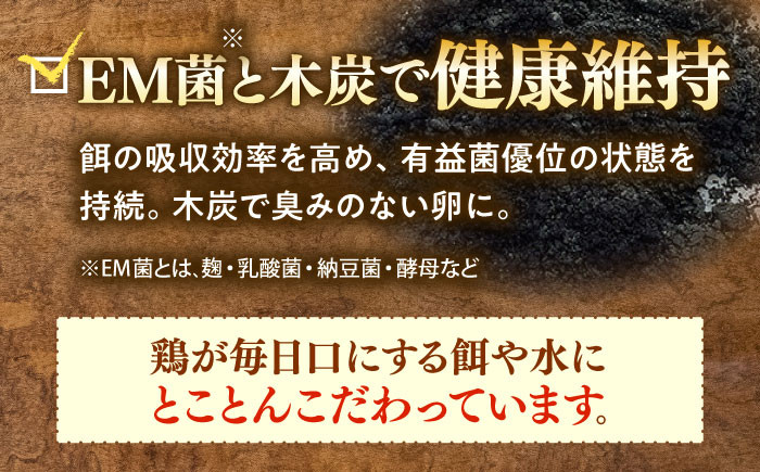 産地直送 新鮮 たまご 岐阜県産 生卵 卵かけご飯 ゆで卵 玉子焼き 目玉焼き