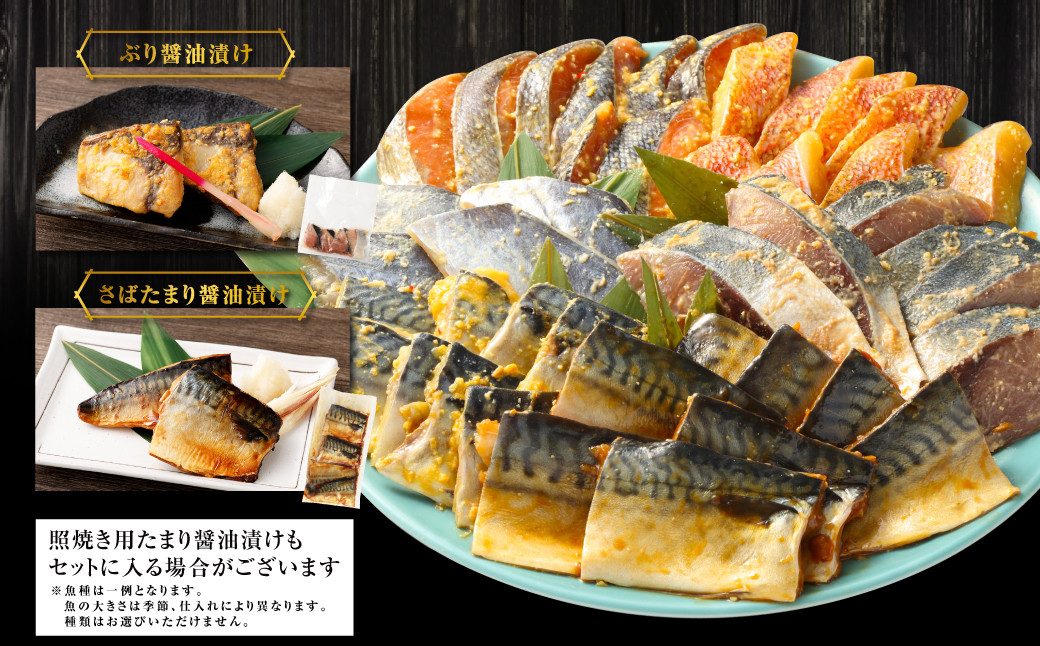 【訳あり】西京漬け（味噌漬け）セット 照り焼き用たまり醤油漬け 18切れ 種類おまかせ 西京 おまかせ セット 西京味噌 鯖