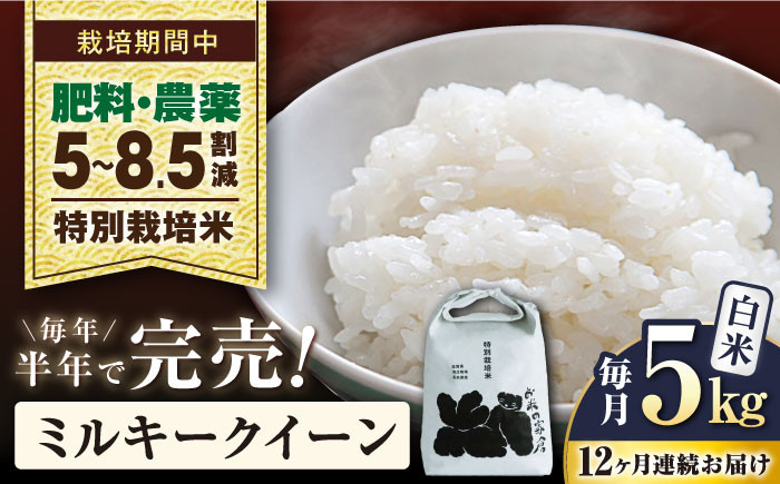 定期便 特別栽培米 ミルキークイーン 5kg 白米 米 コメ 5キロ お米 新米 長浜市 おにぎり 炊き込みご飯 人気 おすすめ