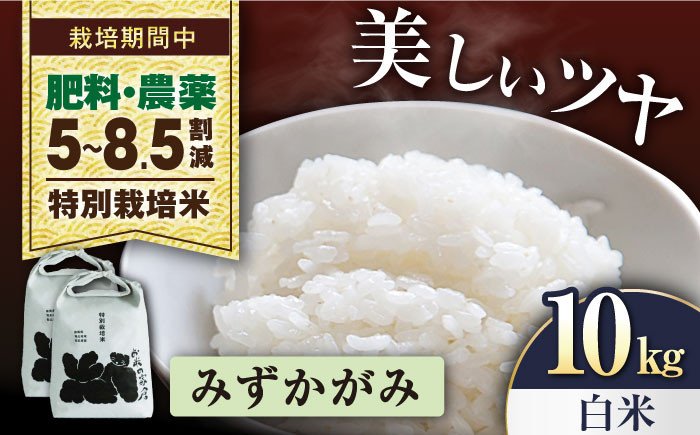特別栽培米 みずかがみ 5kg 白米 ×2袋　米 お米 白米  10kg