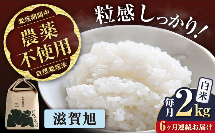 【全6回定期便】自然栽培 在来種 滋賀旭 2kg 白米 ×6回　米 定期便 白米  2kg