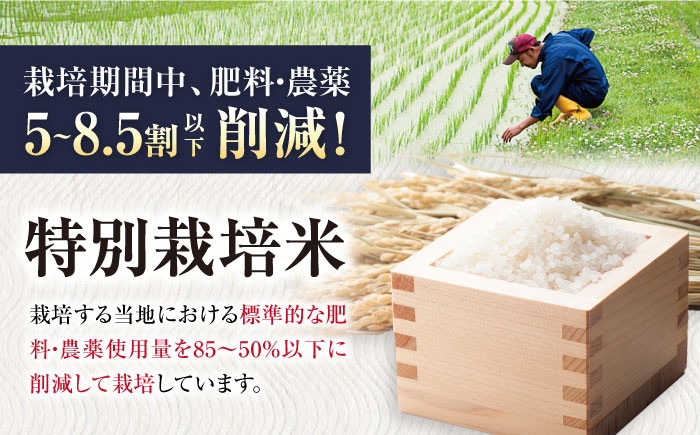 特別栽培米 みずかがみ 5kg 白米 ×2袋　米 お米 白米  10kg