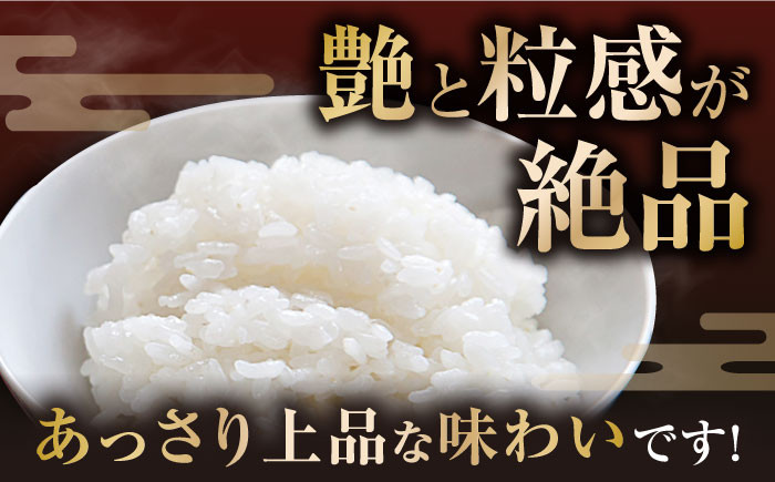 特別栽培米 みずかがみ 5kg 白米 ×2袋　米 お米 白米  10kg