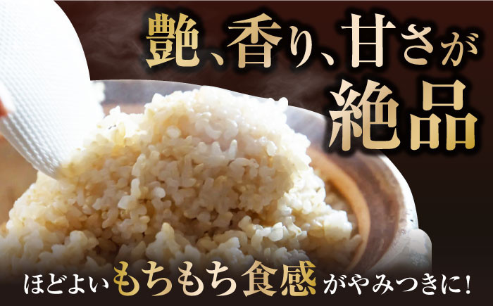 定期便 特別栽培米 ミルキークイーン 2kg 玄米 米 コメ 2キロ お米 新米 長浜市 おにぎり 炊き込みご飯 人気 おすすめ
