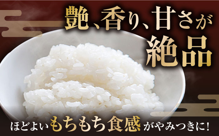 自然栽培 ミルキークイーン 5kg 白米 米 コメ 5キロ お米 新米 長浜市 おにぎり 炊き込みご飯 人気 おすすめ