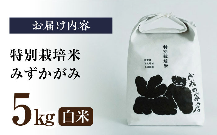 特別栽培米 みずかがみ 5kg 白米　米 お米 白米  5kg
