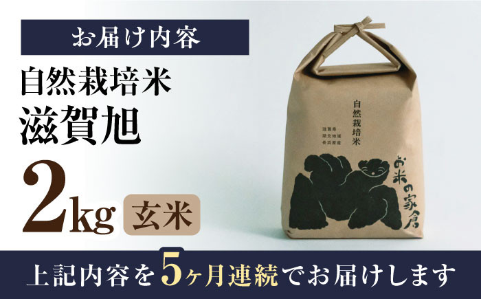 【全5回定期便】自然栽培米 滋賀旭 2kg 玄米 ×5回　米 定期便 玄米  2kg