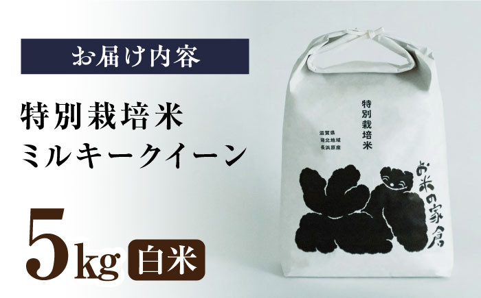 自然栽培 ミルキークイーン 5kg 白米 米 コメ 5キロ お米 新米 長浜市 おにぎり 炊き込みご飯 人気 おすすめ