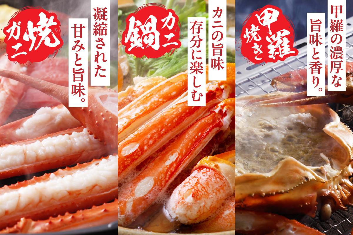 楽しみ方は色々。