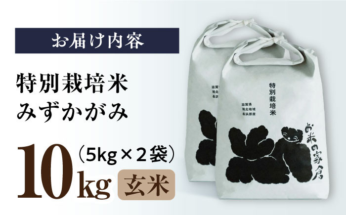 特別栽培米 みずかがみ 5kg 玄米 ×2袋　米 お米 玄米  10kg