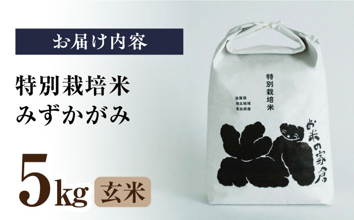 特別栽培米 みずかがみ 5kg 玄米　米 お米 玄米  5kg