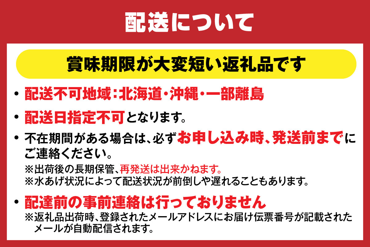 必ずご確認の上、お申込みください。