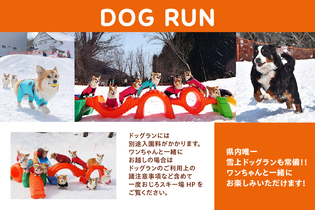 ドッグランも常備！！わんちゃんと一緒にお楽しみいただけます！