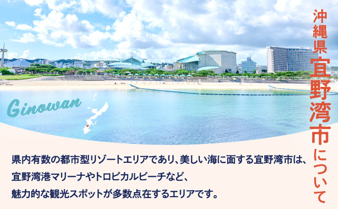 沖縄県 宜野湾市 しろくまツアーで利用可能な選べるWEB旅行クーポン | ふるさと納税  | 宜野湾市について