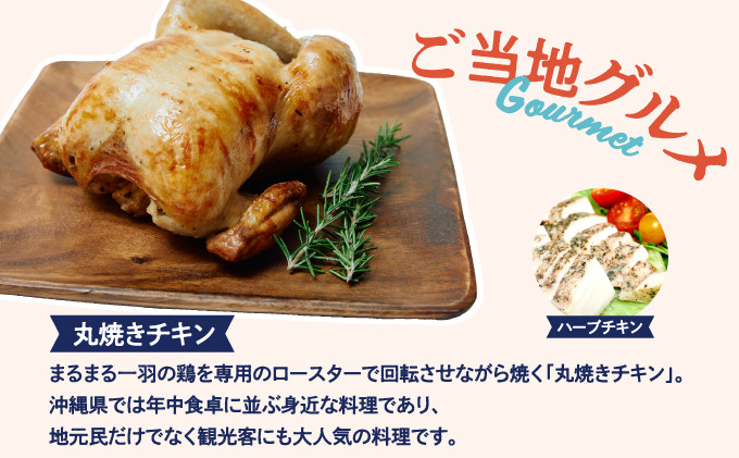 沖縄県 宜野湾市 しろくまツアーで利用可能な選べるWEB旅行クーポン | ふるさと納税  | グルメ