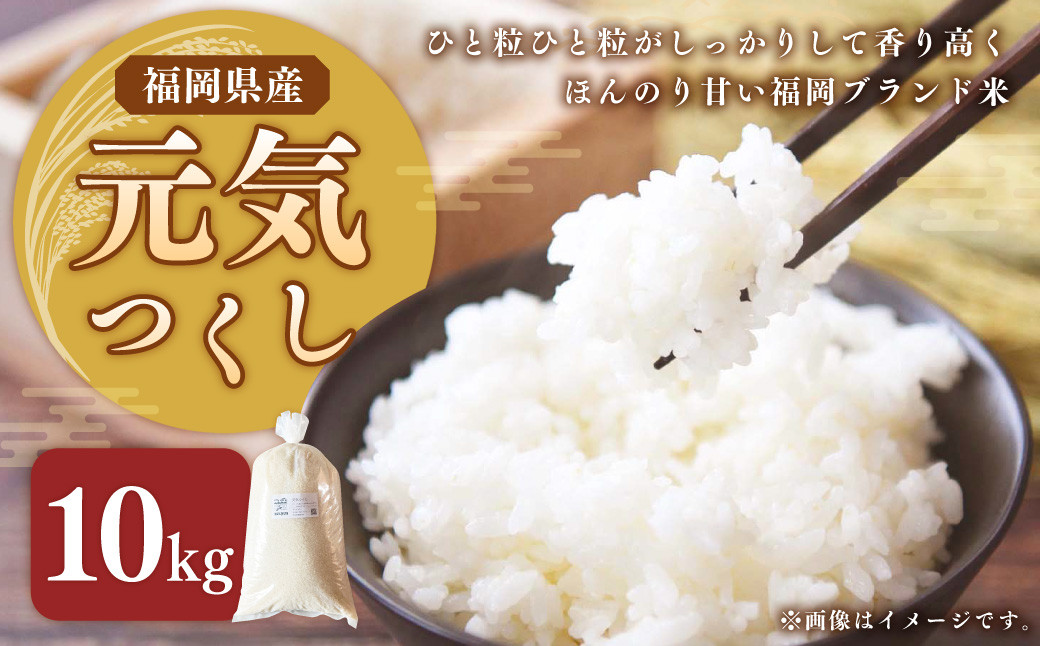 福岡県ブランド米「元気つくし」10kg 米 お米 白米 精米 岡垣町