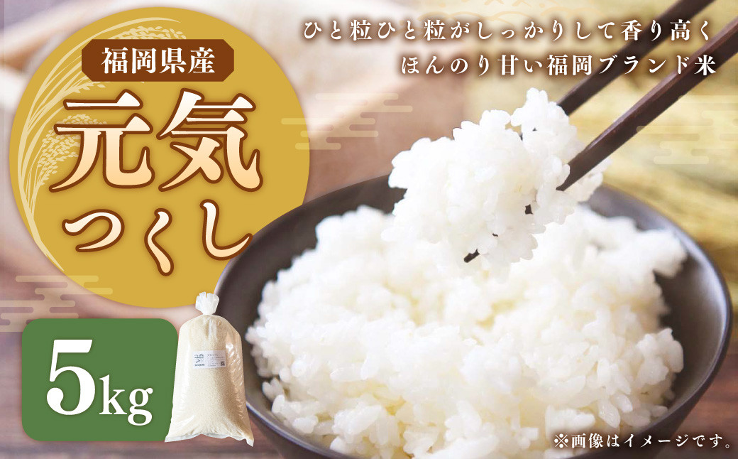 福岡県ブランド米「元気つくし」5kg 米 お米 白米 精米 岡垣町