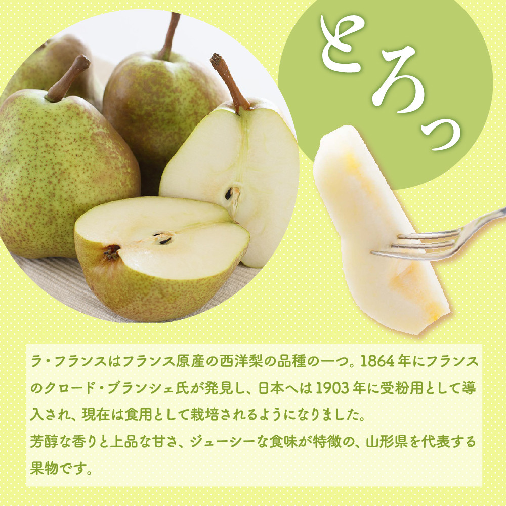 ※写真はイメージです