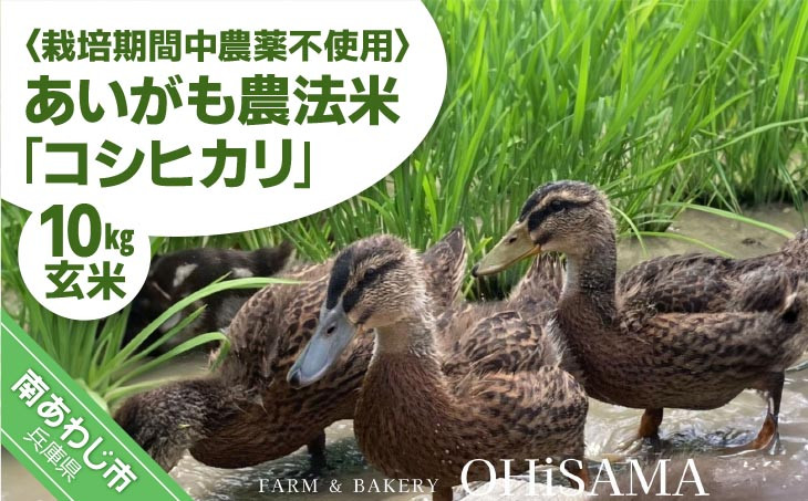 コシヒカリ　10Kg(5kg×2)　玄米　栽培期間中農薬不使用　あいがも農法米