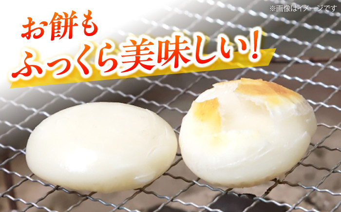 お米 お餅 おもち 平もち 平餅 ご飯 白米 おにぎり 米 コシヒカリ もち 餅