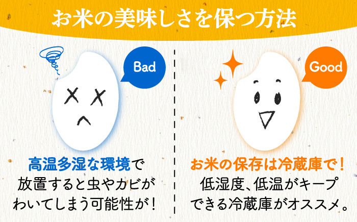 お米 お餅 おもち 平もち 平餅 ご飯 白米 おにぎり 米 コシヒカリ もち 餅