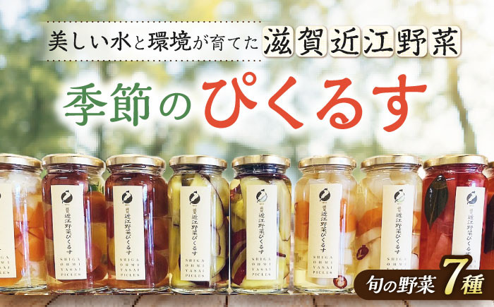 ピクルス 野菜 漬物 酢漬け瓶詰め ピクルス 手作り 野菜 漬物 ギフト セット 人気 おすすめ 瓶詰め 詰め合わせ プレゼント