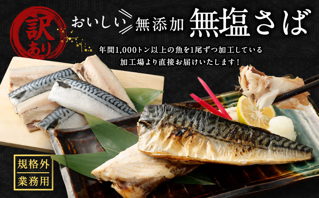 【訳あり規格外】  業務用 無添加 無塩さば どーんと!  3kg