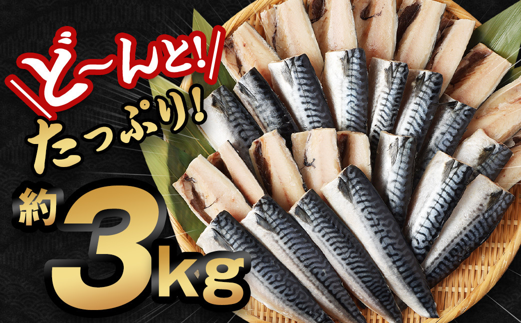 【訳あり規格外】  業務用 無添加 塩さば  どーんと!3kg