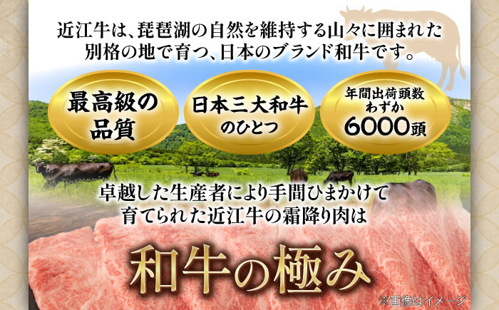 近江牛 霜降り すき焼き・しゃぶしゃぶセット近江牛 牛肉 霜降 スライス すき焼き しゃぶしゃぶ 和牛 日本三大和牛 国産牛