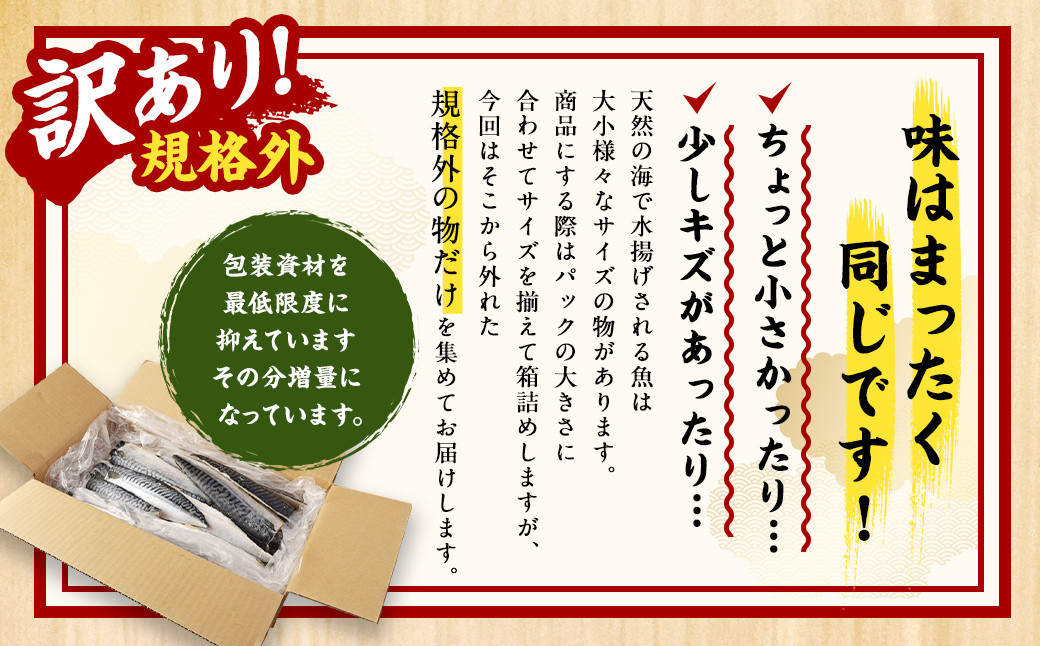 【訳あり規格外】  業務用 無添加 塩さば  どーんと!3kg