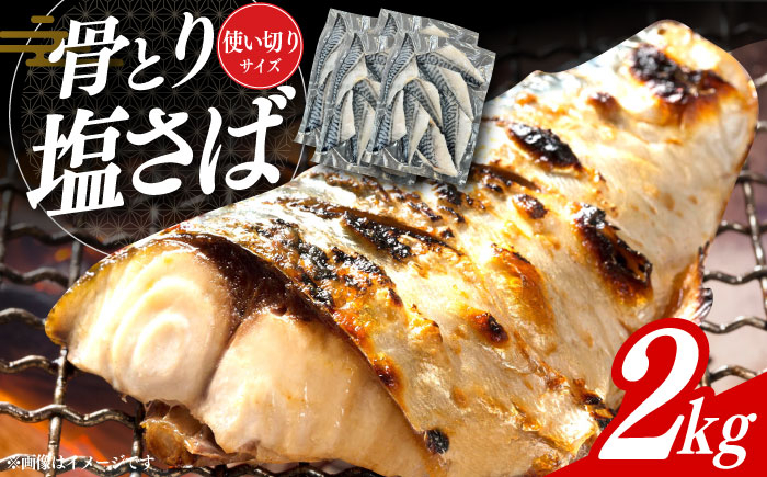 サバ 骨なし サバ 骨取り 骨無しサバ 下処理不要 子ども 安心 冷凍 さば サバ 鯖