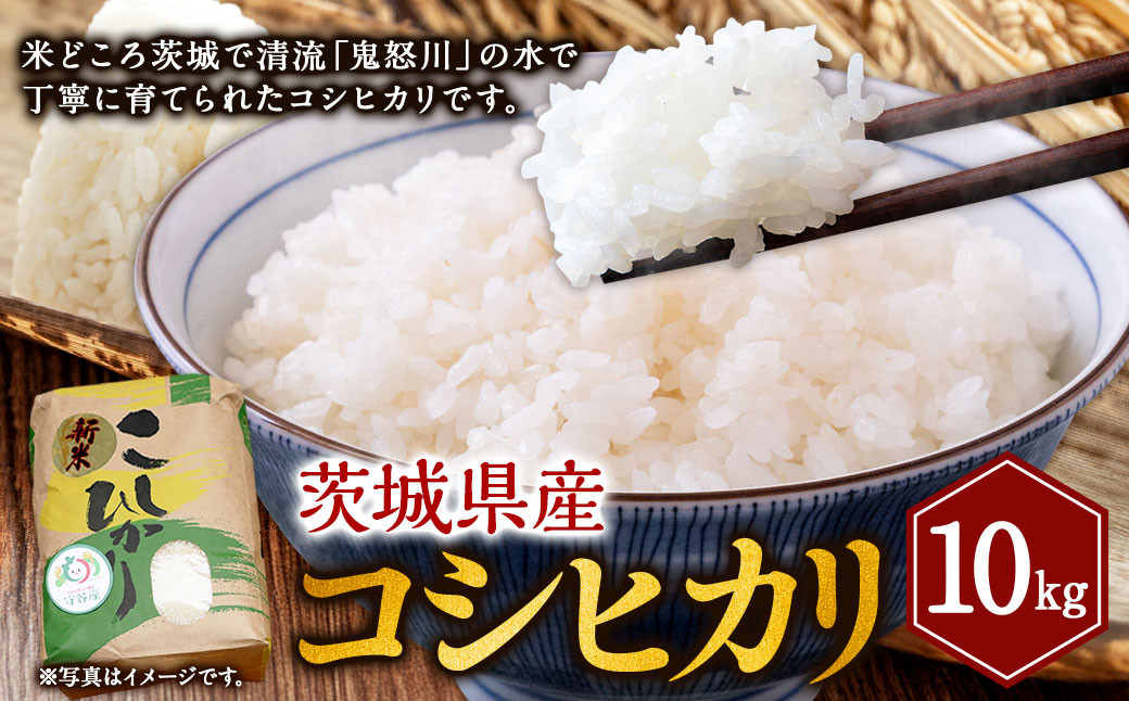 コシヒカリ 10kg