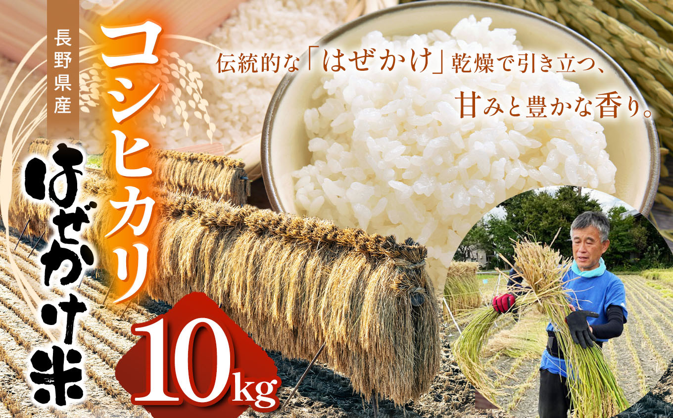 信州の恵み、松本市産のコシヒカリ