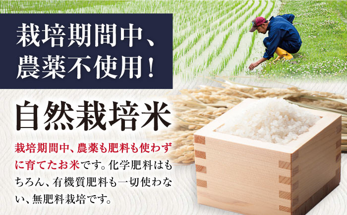 【全6回定期便】自然栽培米 滋賀旭 5kg 玄米 ×6回　米 定期便 玄米  5kg