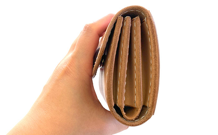 横からみた様子