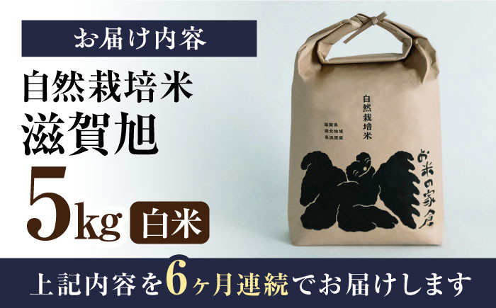 【全6回定期便】自然栽培米 滋賀旭 5kg 白米 ×6回　米 定期便 白米  5kg